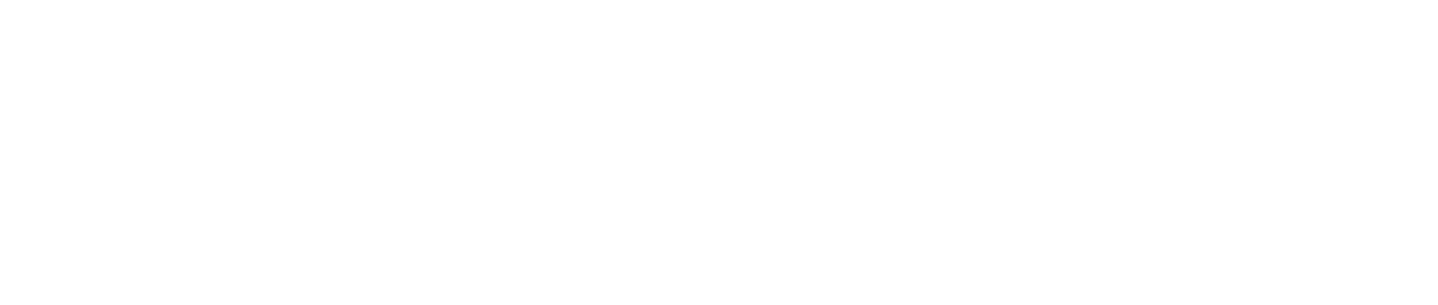 Forge Real Estate Advisors
